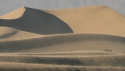 PICTURES/Death Valley - Sand Dunes/t_P1050720.JPG